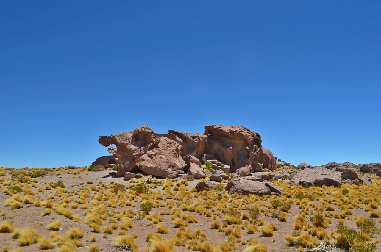 Ckuri Atacama San Pedro de Atacama Exterior foto