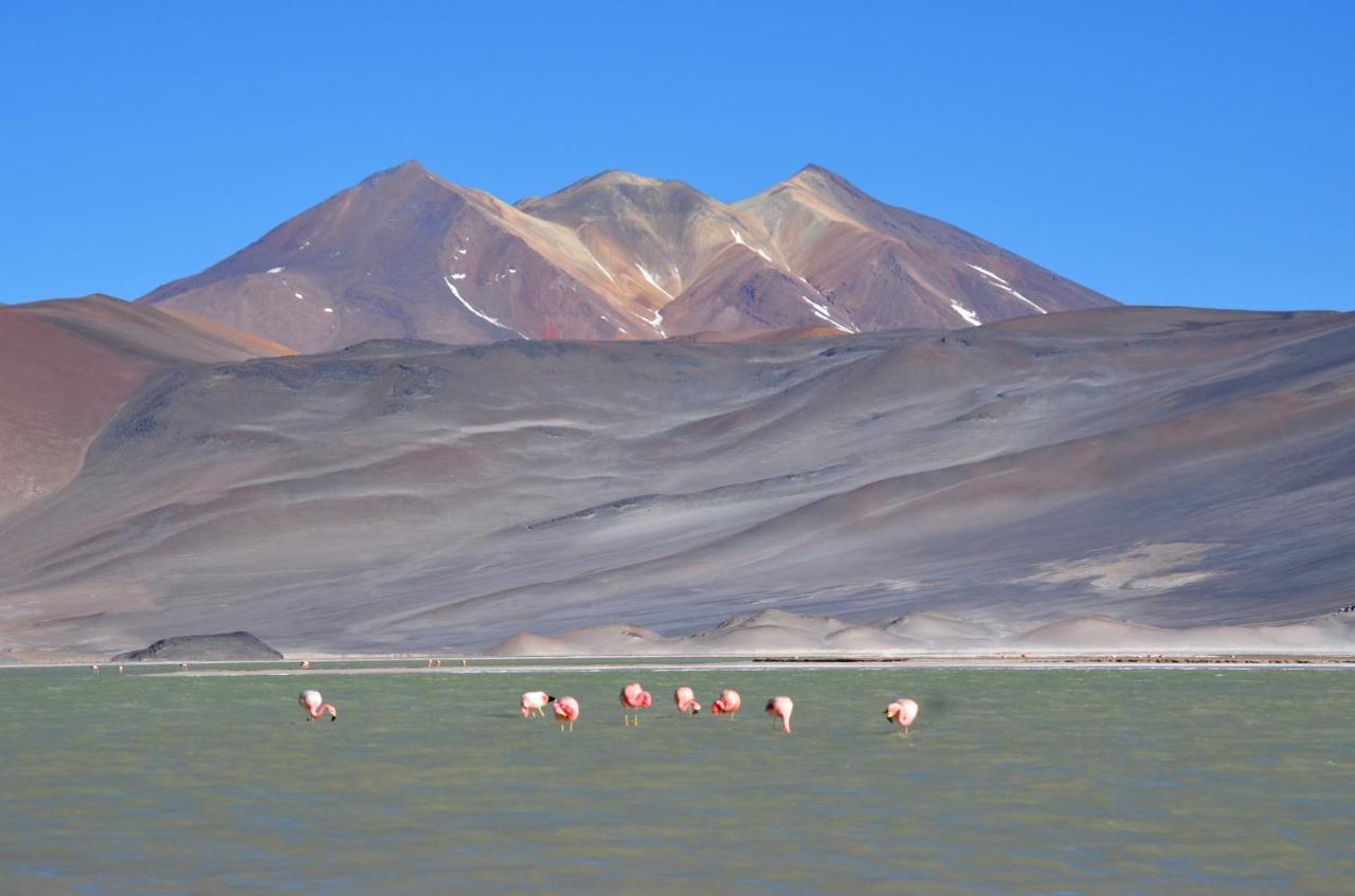 Ckuri Atacama San Pedro de Atacama Exterior foto